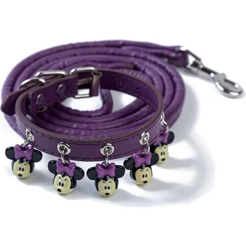 Disney Dog Accessories