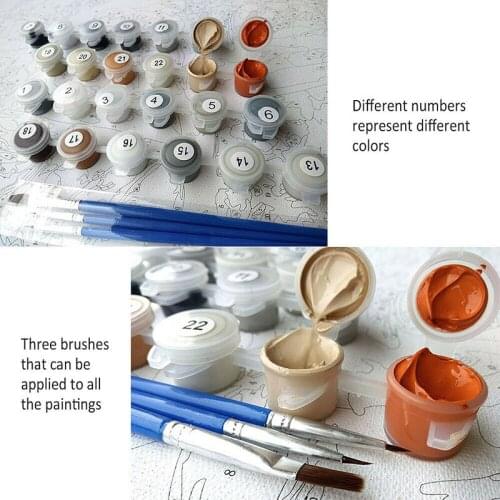 Paint by Numbers for Adult DIY Paint by Number Kits for Kids Beginner on Canvas TUE88