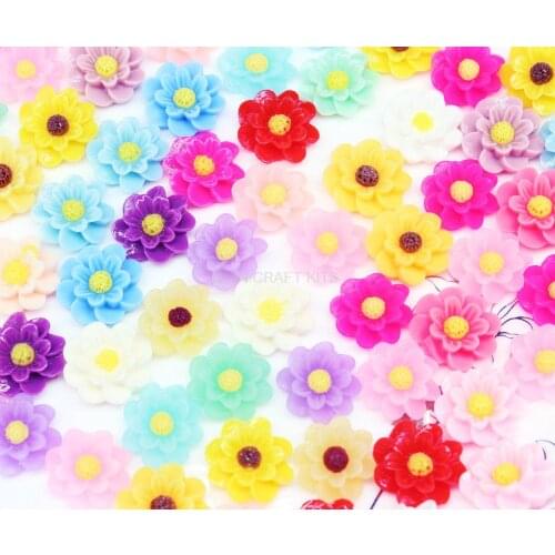 250pcs 19mm Resin Daisy Flower Rose Cabochon Flatback embellishments- Mixed Lot For Jewellery Making and decoden Flat Back