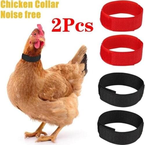 2pcs No Crow Rooster Collar Chicken Duck Collar Anti-hook Noise Free Neckband Collars Supplies Home Pet Poultry Training Collar