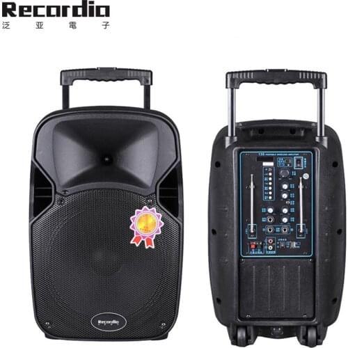 GAS-130 Green Audio Music System 10 Inch Wireless Portable Loudspeaker With Karaoke Microphone For Party
