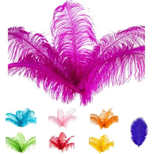 LBER 10 Pcs Natural Ostrich Feathers Pink 20-25cm Used For Wedding Party Table Bedroom Home Decoration