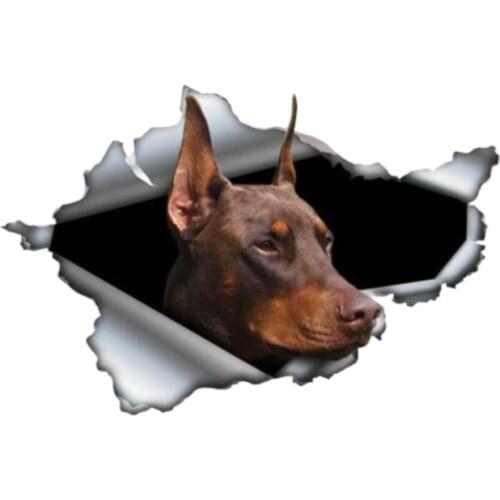 Personality Car Sticker Brown Doberman 3D Pet Vinyl Waterproof Car Window High Quality Accessories Decorative PVC 13cm X 9cm