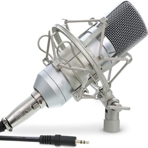 Cardioid Condenser Microphone XLR, (Noise Deduction) 360 Degree Uni-Directional Voice Recording with Mount & Windscreen for PC