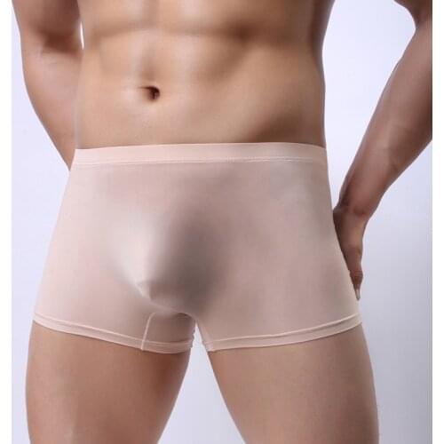 Sexy Men Underwear Transparent Boxer Shorts Ice Silk Panties Man Solid U Convex Pouch Seamless Underpants Cueca Plus Size M-XXL