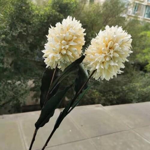 12cm head/2pcs,Natural Craft Dried flower with wire stem,Real leaves Eternal Display Flower wedding Home Decoration accessories