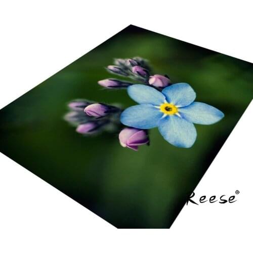 Reese Anti Slip Area Rug Floor Hand Drawn Style Blossom Printed Carpet Washable Customized For Living Room Kitchen Bedroom Hotel