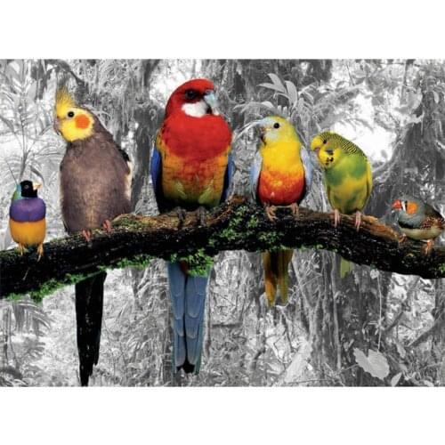 Diy Diamond Painting By Number Photo of Parrot Diamond Embroidery Animal Full Square Round Drill Mosaic Stickers Wall Art Decor