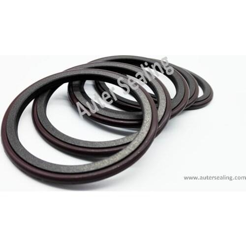 25x20.1x2.2 / 4X6X1.5 Piston seal hydraulic cylinder PTFE with oring Rotary Glyd ring Rotary compact Radial ring