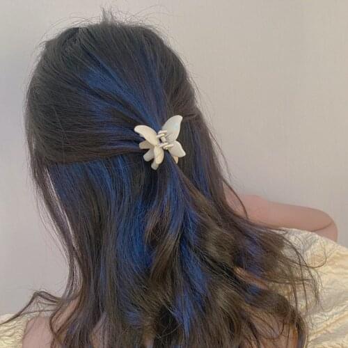 Butterfly Hair Clip Grab Ball Acrylic Head Clip Hair Accessories Female Hair Clip 2020 New Head Accessories