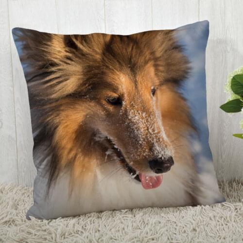 Pillow Cover Customize Sheltie Dogs Pillow Case Modern Home Decorative Pillowcase For Living Room 45X45cm,40X40cm A2020.4.29
