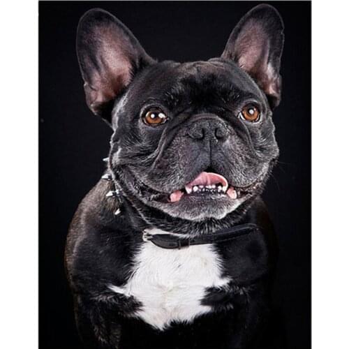 5D DIY Diamond Painting Black French Bulldog Patterns bead Embroidery Rhinestones Square/Round Diamond Mosaic animal Picture