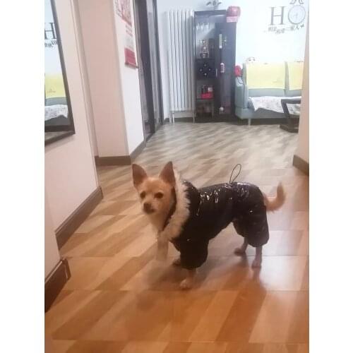 Dog Clothes Shiny Down Cotton Winter Coat Jumpsuit Waist Coat Small Dog Plus Velvet Padded Coat