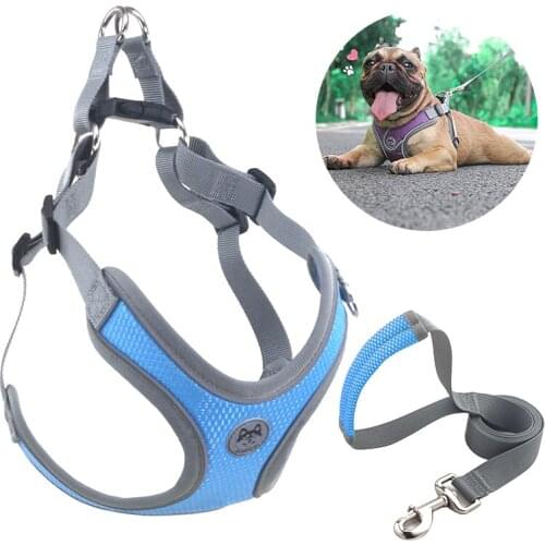 Fashion Pet Chest Harness No-pull Dog Harness Adjustable Outdoor Puppy Dogs Leash Vest for Small Medium Dog Supplies