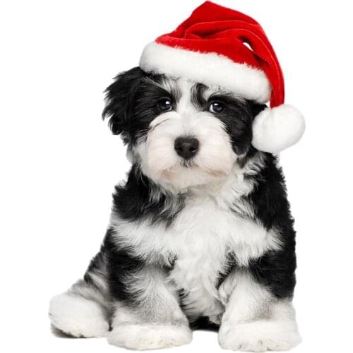 Three Ratels wall stickers for children Christmas hat dog for children bedroom kitchen stickers christmas sticker