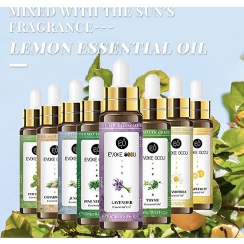 10ml Essential Oil Easy to Absorb Refresh Air Plant Extract Fragrance Diffuser with Dropper Aromas Oil for Aromatherapy