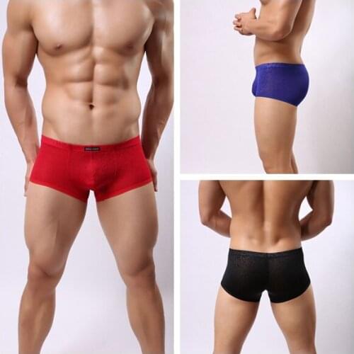BRAVE PERSON Nylon Lace Mens Boxer Shorts convex Pouch Sexy Transparent Underwear Men Boxers Slip Thin Cool Boxer For Men