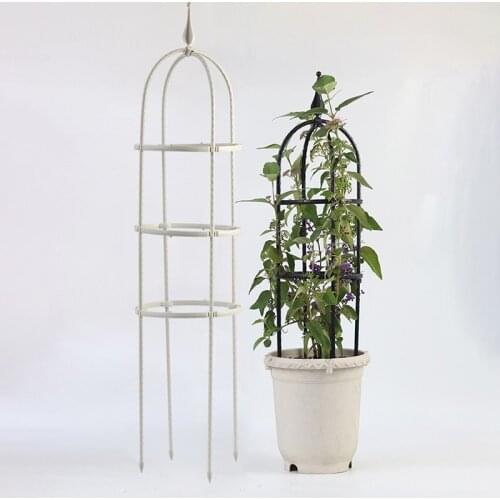 Plant Vines Climbing Stand Metal Flowerpot Bracket Lotus Rose Support Pole for Indoor Decoration C1