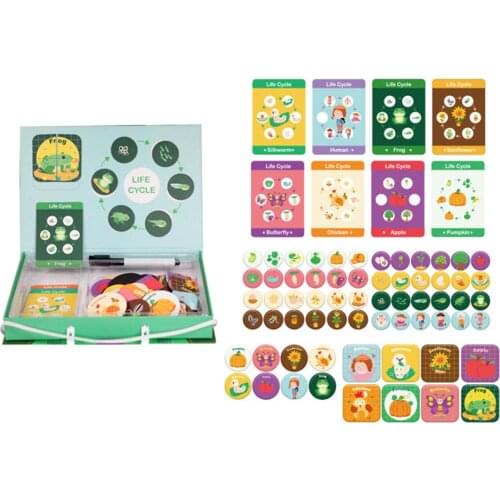 Magnetic Lifecycle Frog Animal Puzzles Pen Painting Board Kids Teaching Aids Toy New