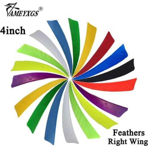 60/100pcs Archery 4" Turkey Feather Right Wing Arrow Feathers Natural Fletching For Bow And Arrow Shooting Hunting Accessories