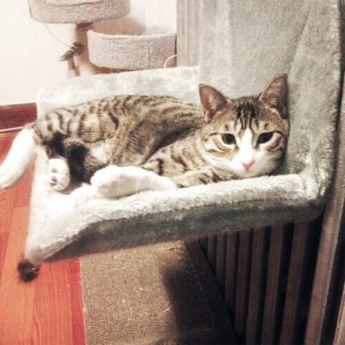 High-grade solid frame cat hammock cat bed house comfortable cute warm portable comfort cat pet bed shelf mattress