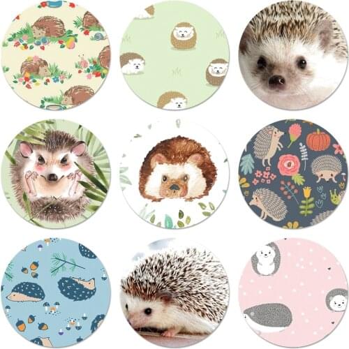 58mm Animal cute cartoon hedgehog Badge Brooch Pin Accessories For Clothes Backpack Decoration gift