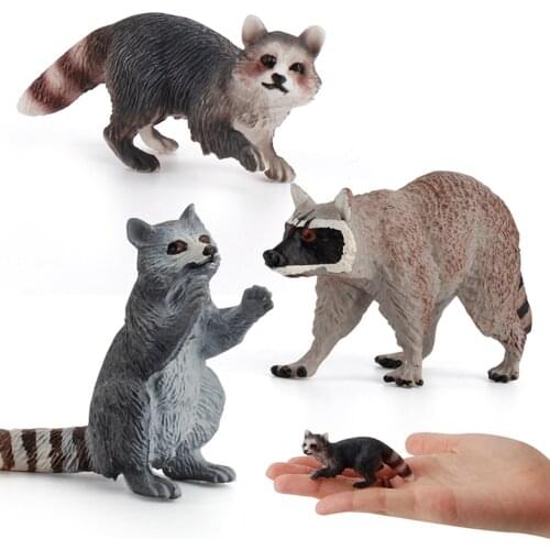 Plastic Zoo Jungle Animal Northern Raccoon Figures Toys Home Ornaments