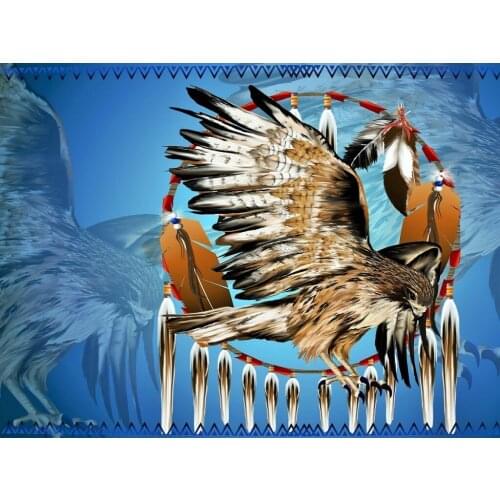 JMINE Div 5D indian dream catcher eagle Full Diamond Painting cross stitch kits art High Quality Animal 3D paint by diamonds