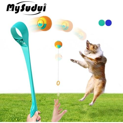 MySudui Products For Dogs