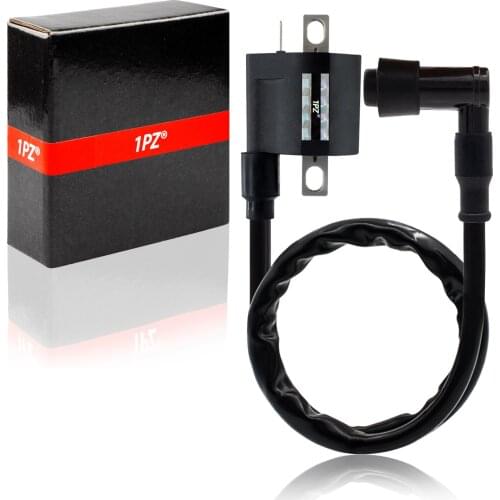 1PZ Premium Motorcycle Ignition Coil for 50cc 125cc 150cc 200cc D8TC High Pressure Coil ATV Quad Dirt Pit Bike