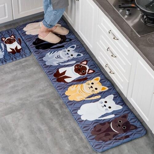Printed Kitchen Carpet Non-Slip Doormat Absorbent Entrance Doormat Cartoon Area Rugs for Living Room Bathroom Home Welcome Mat