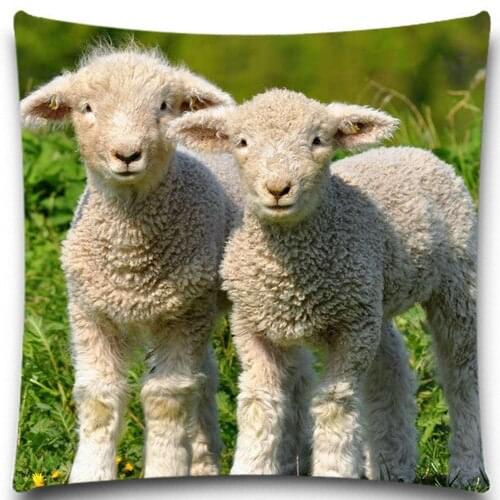 Animals Alpaca Chick Cock Pig Pillow Case Home sofa chair car Textiles kids Gift Bedclothes 5 size 9 style