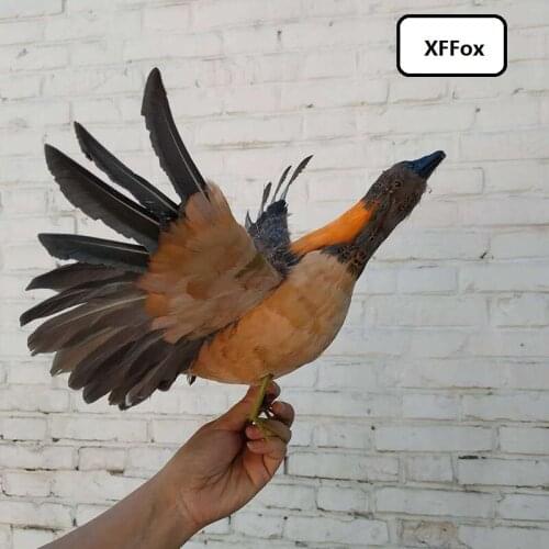 New simulation Podiceps model foam&feather real life wings Waterfowl bird doll gift about 30x40cm xf0999