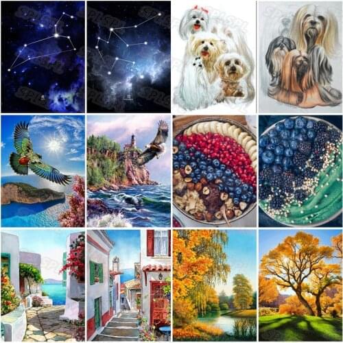 Diy Diamond Painting Cute and Beautiful Pet Dog Pomeranian Delicious Dessert Afternoon Tea Still Life Landscape Poster