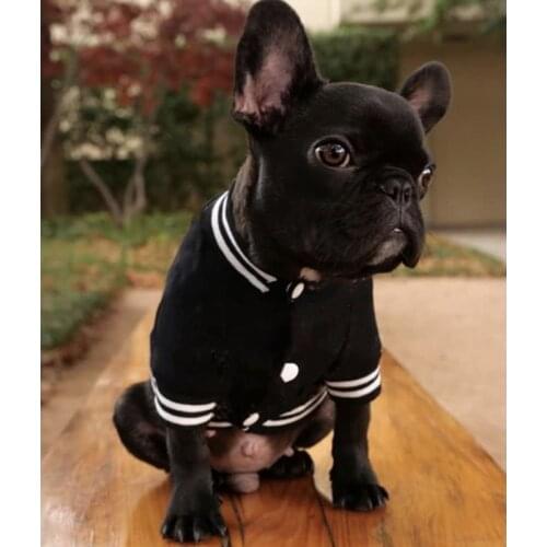 Fashion Pet Dog Baseball Uniform Jacket Coat Pomeranian Pug Clothes Winter Warm for Small Medium Dogs Puppy French Bulldog ZLC19