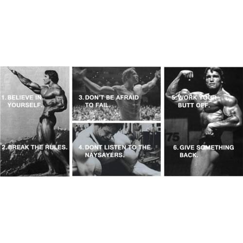 Rules of success arnold schwarzenegger Art print Silk poster Home Wall Decor