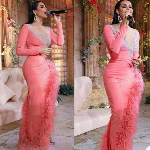 Ostrich Feather Pink Mermaid Evening Dresses Beading V Neck Long Sleeve Red Carpet Party Gowns Plus Size Side Split Prom Club