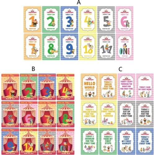 12 Sheet Milestone Photo Sharing Cards Baby Age Cards - Baby Milestone Cards
