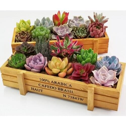 Vintage Natural Wooden Garden Planter Flower Pots Succulent Plants Flowerpot Desktop Storage Box 7 Colors Free Shipping
