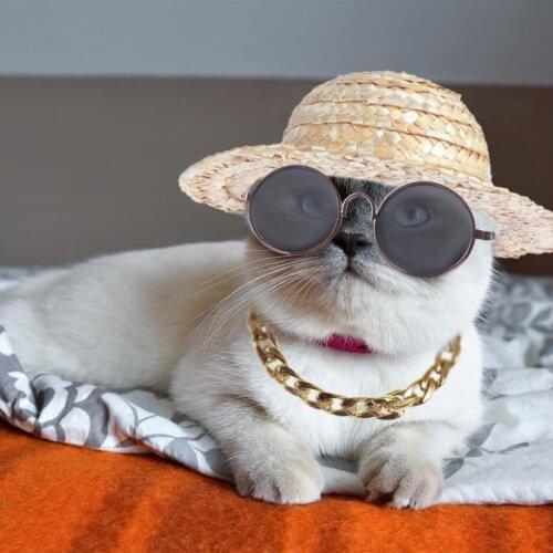 Pet Dog Hawaiian Shirt Summer Cool Puppy T-Shirt Breathable Sweatshirt