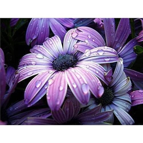 DIY 5D Full Drill Square Diamond Diamond Painting"flower in rain"Diamond Embroidery Cross Stitch Rhinestone Mosaic Painting