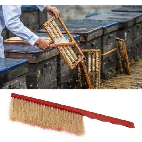 Wood Honey Brush Wasp Bee Sweep Plastic Hog Bristles Bee Brushes Beekeeping Equipment Tools 40*8cm Sweeps Row For Beekeep 1pc