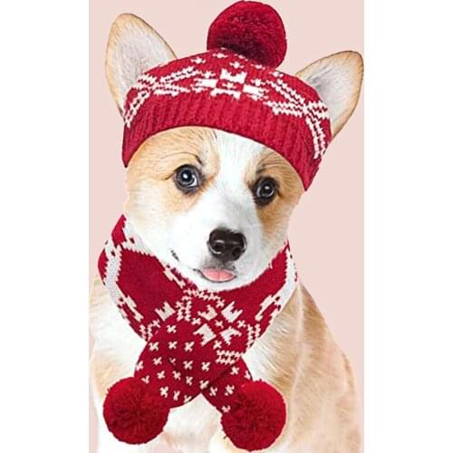 Skin Friendly 1 Set Good-looking Pet Dogs Hat Scarf Set Lightweight Pet Hat Scarf Adorable Pet Supplies