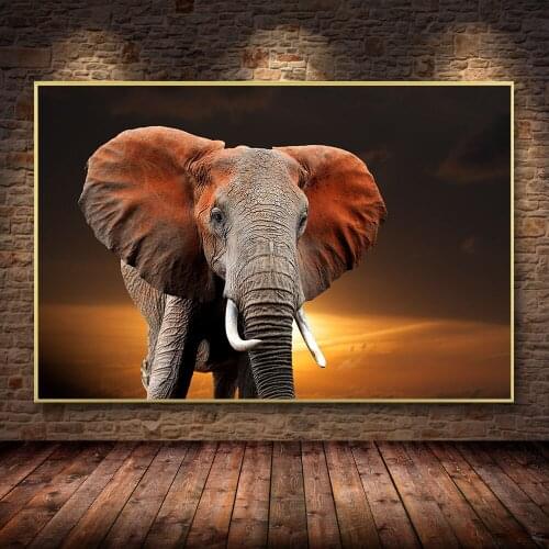 Animal Print Tropical Wall Art African Elephant Animal Real Shot Photography Living Room Sofa Bedroom Background Decor Painting