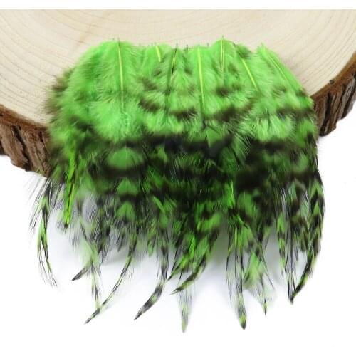50PCS/Bag Pheasant Plumes apple green Rooster Feathers 8-13cm for DIY jewelry Decorative Accessories Decorative