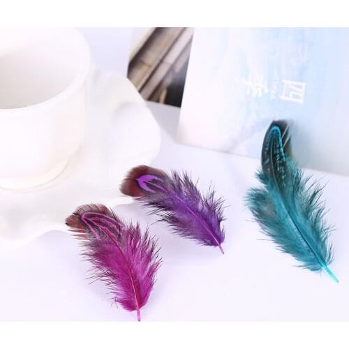 4-8cm Rare Precious DIY Wedding Party Decorative Multi-colour Pheasant Plume Feather Natural Feathers for Home Decor 50Pcs