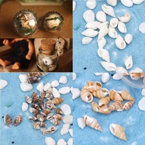Natural Beach Seashell Starfish for nautical Decor Or Jewelry Glass DIY Fillers X7JB