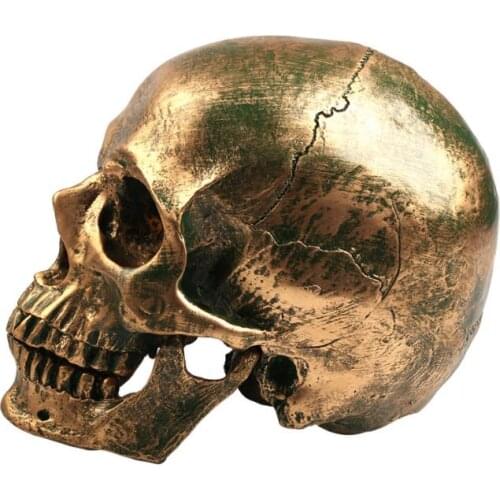 Resin Imitation Bronze Skull Statue,Human Head Resin Replica Medical Model,Modern Home Decoration Skull sculpture,Vintage crafts