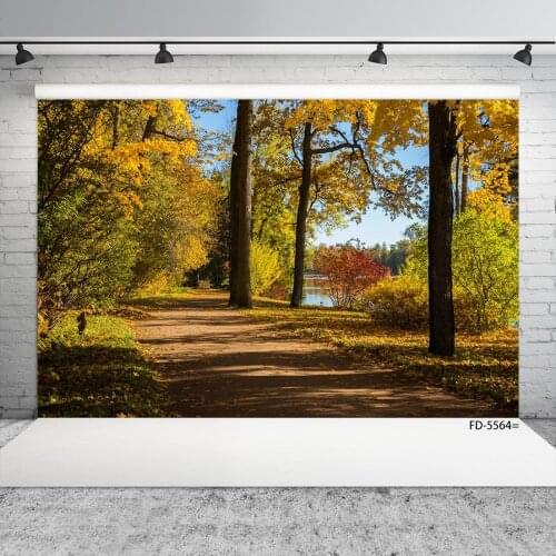 Pathway Trees Lake Autumn Photography Background Customized Backdrop for Children Baby Portrait Scenery Photocall Fond Photo