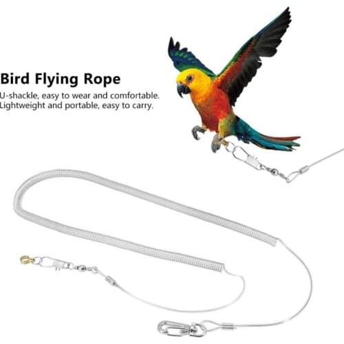 6M Flexible Bird Leash with Leg Ring Ultra-light Parrot Bird Harness Anti-bite Outdoor Flying Training Rope for Macaw Cockatiel